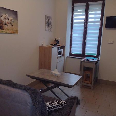 Appartement Rdc Chez Caroline Bourbonne-les-Bains Ngoại thất bức ảnh