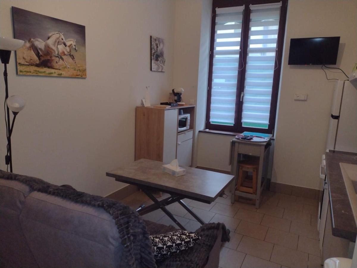 Appartement Rdc Chez Caroline Bourbonne-les-Bains Ngoại thất bức ảnh