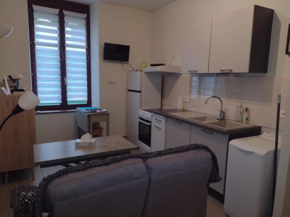 Appartement Rdc Chez Caroline Bourbonne-les-Bains Ngoại thất bức ảnh